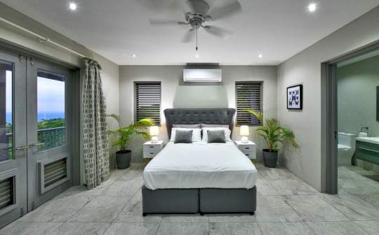 downstairs guest suite 